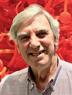 Prof. Dr. Carlos  Geraldes